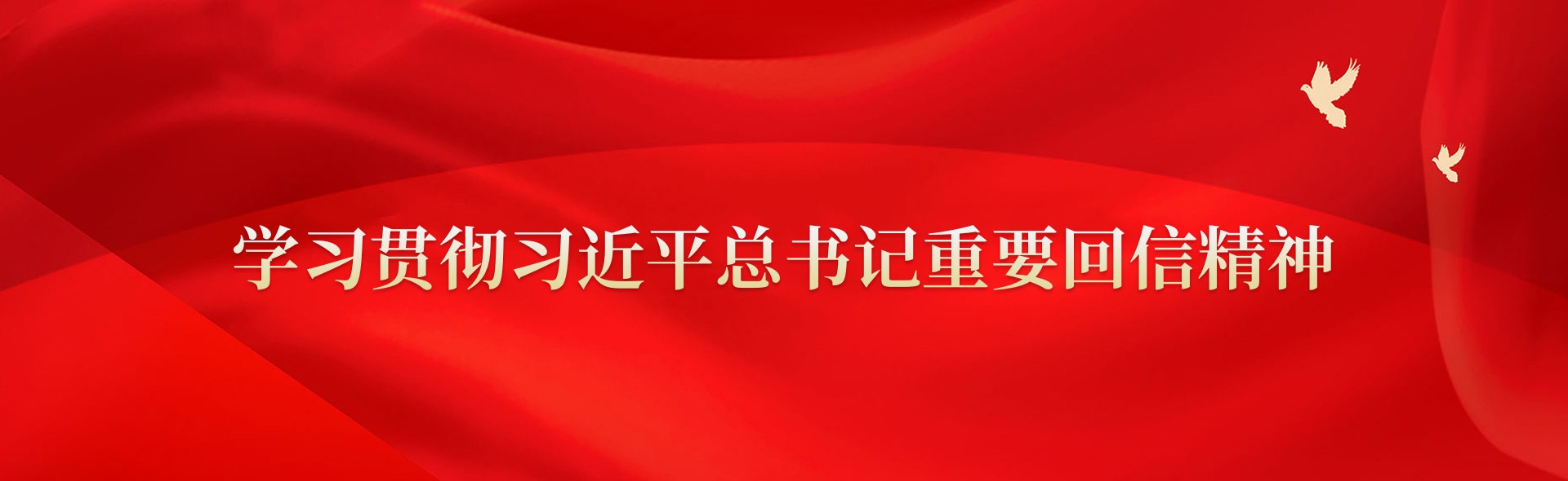 學(xué)習(xí)貫徹習(xí)近平總書記重要回信精神